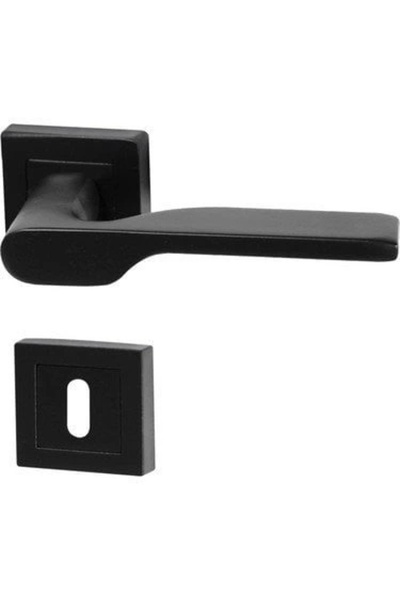 Ezgi Buton de ușă pentru cameră cu insignă pătrată Black Lady (1 set = 2 bucăți de mânere pentru ușă și 2 bucăți de insignă inferioară)