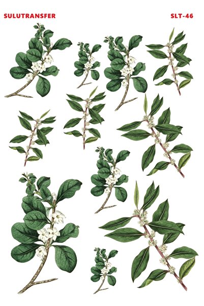 Buhobi Çiğdem Işık Sulu Transfer SLT046 25x35cm