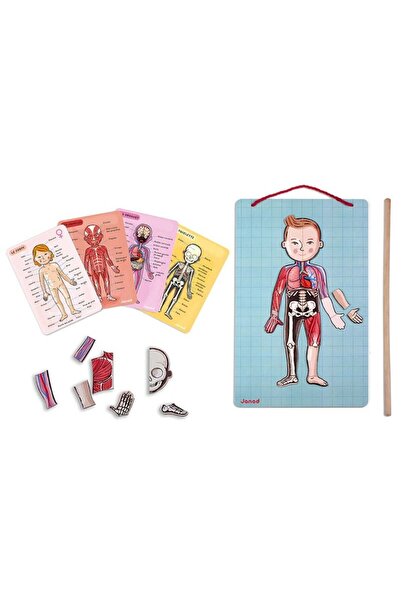 Generic Brand Magnetic Game - Let's Get to Know Our Bodies J05491
