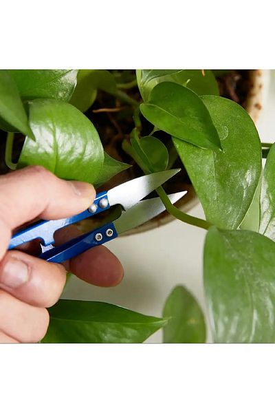 BGA Metal Fishing Scissors Spring System Hobby Model Tailor Textile Cleaning Scissors