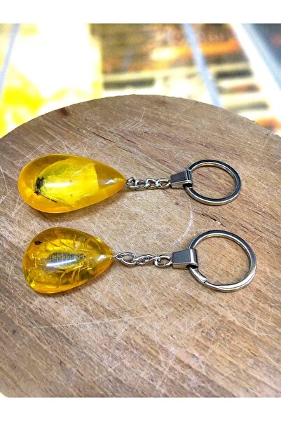 TESBİHKENTİ Kelebek ve Akrep Fosilli Anahtarlık