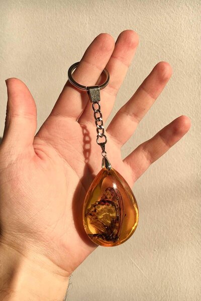 TESBİHKENTİ Μπρελόκ με αυθεντικό απολιθωμένο πεταλούδα