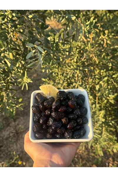 Pekdağ Gemlik Kuru Sele Tuzsuz Siyah Zeytin 1.100 gram
