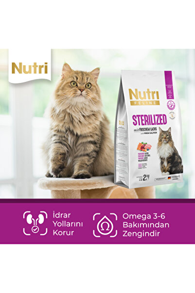 Nutri Feline Adult Sterilised Kısırlaştırılmış Somonlu Yetişkin Kedi Maması 2 kg