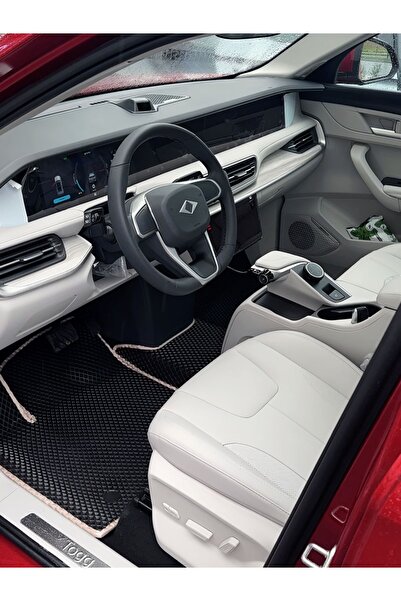 LORS Togg Akıllı Eva Oto Paspas (SİYAH & BEJ)