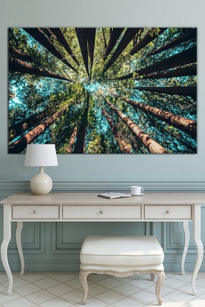 Morfil Sanat Atölyesi Gledajući u nebo iz područja drveća u šumi, dekorativna...