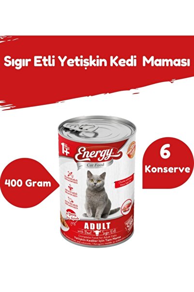 Energy Adult Cat Food with Beef-400 Grams-6 Cans