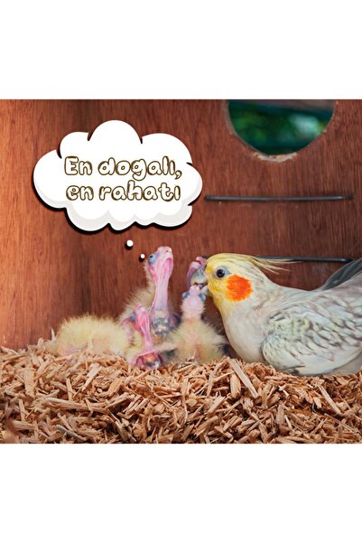 master cips Mastercips Çam Talaşı 2 kg