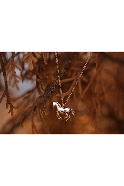 Reis Kuyumculuk Kadın Altın Bold Pilot Kolye