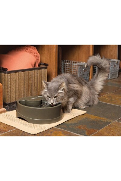 Drinkwell Pet Safe Current Orta Boy Su Pınarı 2.4 Litre