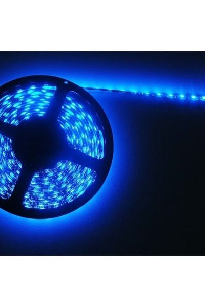 Cata Ct-4484 5m 10w 10 Chip Blue Indoor LED Strip