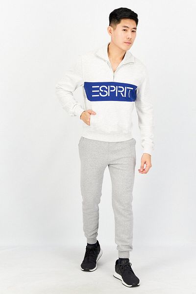 Esprit Men High Neck Long Sleeve Embroidered Sweatshirt, Light Grey