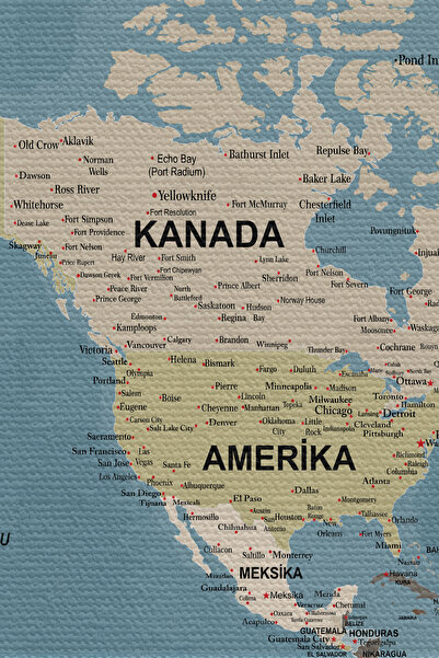 N NOXXO Wall Cover / Carpet Detailed Current Turkish World Map Quality Canvas Fabric-3977