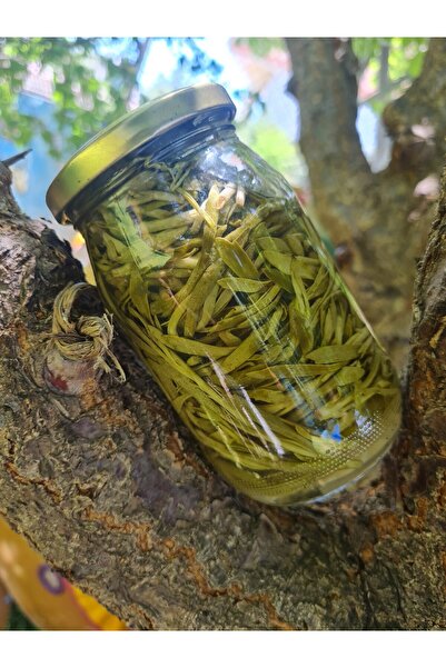 Suveydiye kadın dayanışma kooperatifi Kaya Koruğu