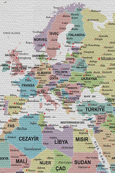 GLOBELUX Wall Cover / Carpet Detailed World Map Quality Canvas Fabric-3961