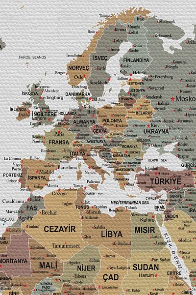 GLOBELUX Wall Cover / Carpet Detailed Turkish Current World Map Quality Canvas Fabric-3963