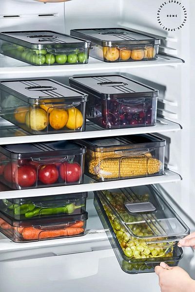 polo55.sport.1855 2 LT Refrigerator Organizer with Lid - Storage Container and Organizer