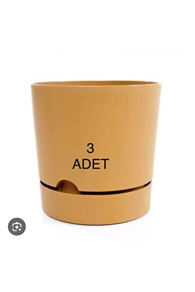 seazde 3 ADET Poliwork Begonya Saksı HARDAL  21cm   3 ADET