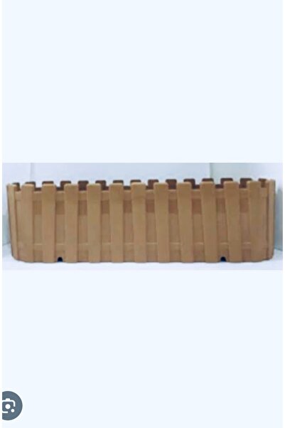 seazde AKASYA BALKON SAKSI VİZON 60cm