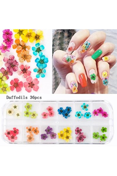 Pinpai Nail Art Kurutulmuş Çiçek Ng-145