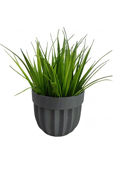 Royaleks Group أصيص زهور مخطط بزهرة ريد رويالكس-5782