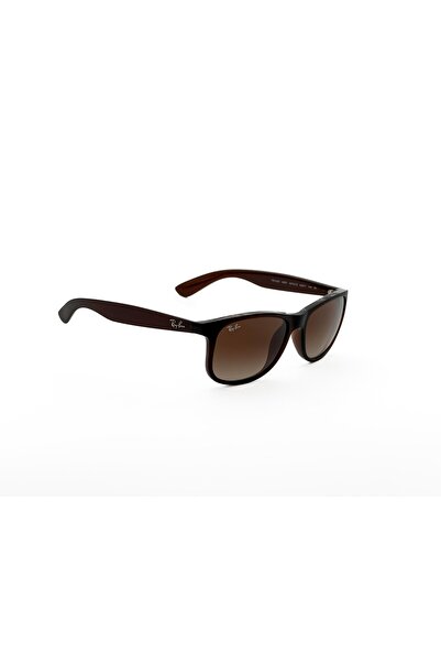Ray-Ban 4202 607313 55 Unisex Güneş Gözlüğü