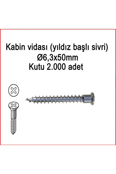 Genel Markalar Metal Galvaniz Kabin vidası (yıldız başlı sivri) 06,3x50mm 100...