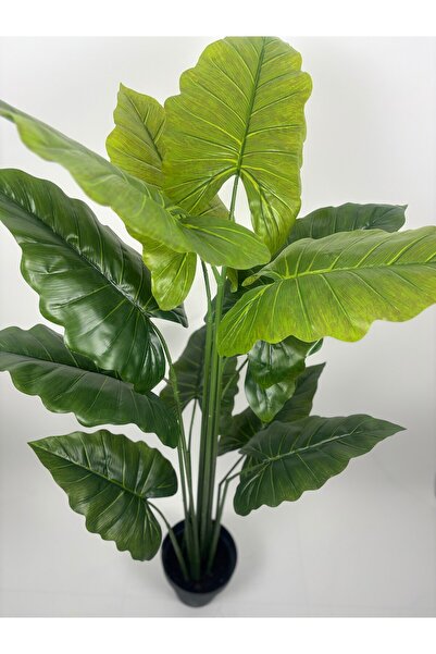 VEAL STORE 160 CM 12 YAPRAKLI FİL KULAGI YAPAY AĞAÇ