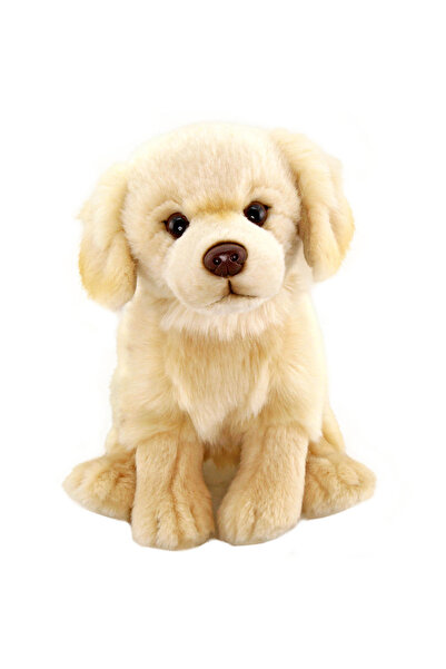 Genel Markalar Floppy Golden Retriever Peluş Oyuncak 28cm