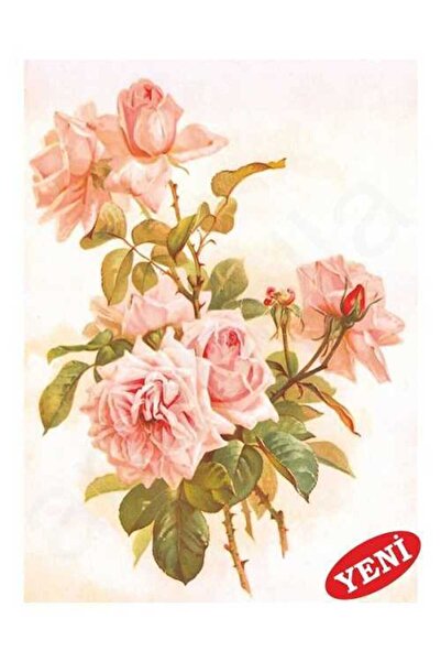 Artebella Büyük Kolay Transfer Açık Zemin 23x34cm 1430V
