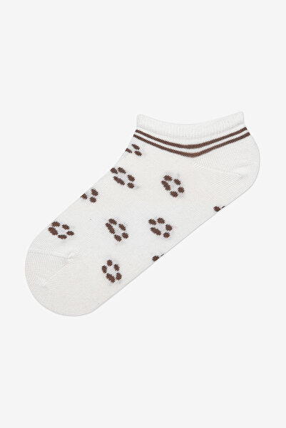 Penti Bear Paw 3lü Bej Çok Renkli Burun Dikişsiz Patik Çorap