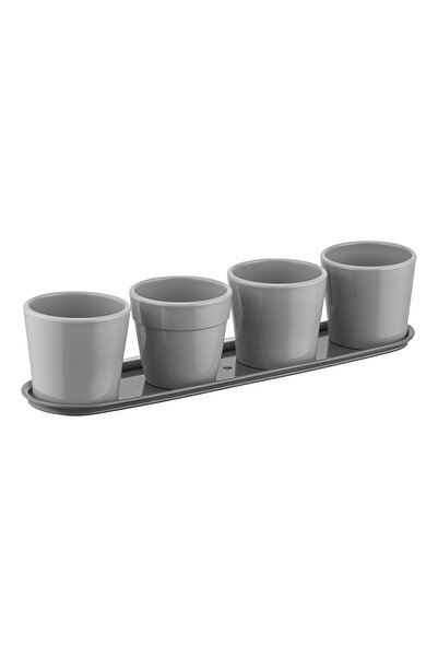 ToXA 4'lü Set 0.12 Litre Gri Geven Saksı Dekoratif Kaktüs Sukulent Saksısı Pa...