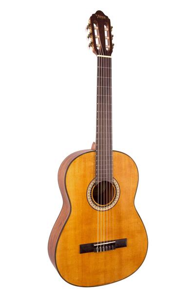 VALENCIA Vc404 Klasik Gitar Kılıf Ve Pena Hediyeli
