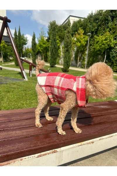SayPuppy Small Breed Winter and Seasonal Red Dog Shirt