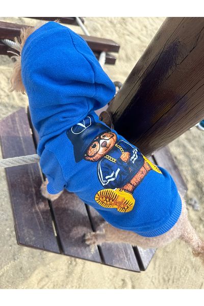 SayPuppy Small Breed Winter and Seasonal Blue Dog Hooded Sweatshirt