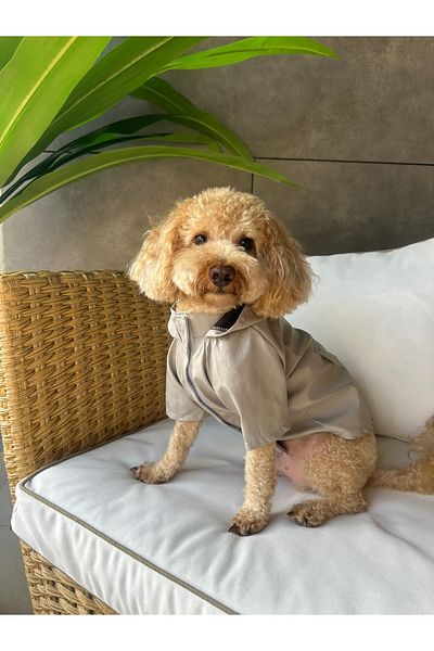 SayPuppy Small Breed Winter and Seasonal Gray Dog Raincoat