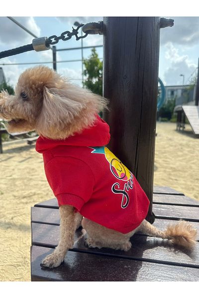 SayPuppy Small Breed Winter and Seasonal Red Dog Hooded Sweatshirt