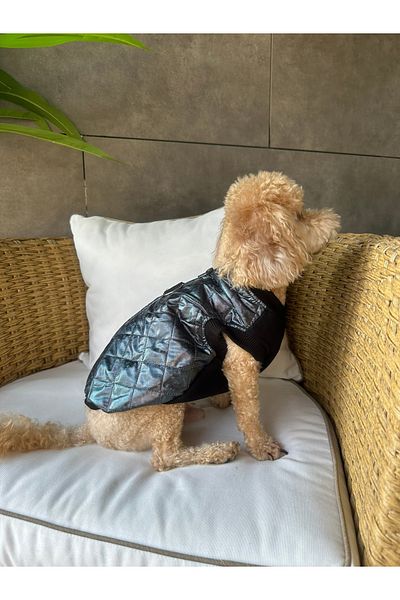 SayPuppy Small Breed Winter and Seasonal Black Dog Coat & Vest