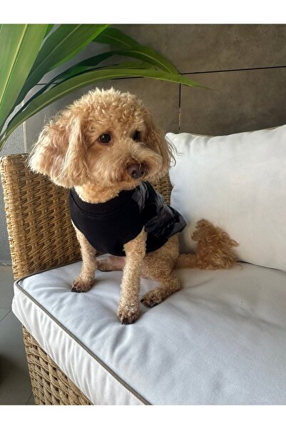 SayPuppy Küçük Irk Kışlık Ve Mevsimlik Siyah Köpek Mont&Yelek