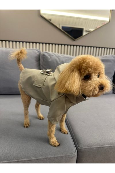 SayPuppy Small Breed Winter and Seasonal Gray Dog Raincoat