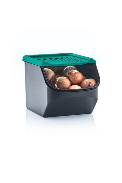 Tupperware Midi Onion Garlic Storage Container