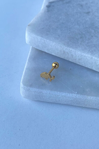 Jaida Moda Unisex Gold Fil Figür Helix Tragus Çelik Piercing