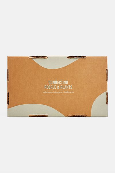 Modern Sprout Plant Parent - Botanical Gift Box Set, Brown