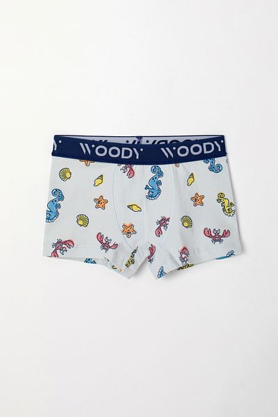 Woody 10-16 Years 2 Pack Boy's Boxer-Cld - 067-SET