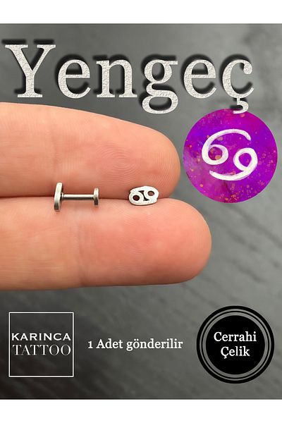 Karınca Piercing Zodiac Symbols Zodiac Ear Tragus Helix Cartilage Piercing Earring