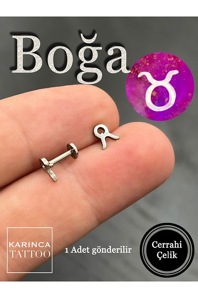 Karınca Piercing Zodiac Symbols Zodiac Ear Tragus Helix Cartilage Piercing Earring
