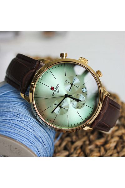 Reward Rwa 001210   Vip Men's Wristwatch