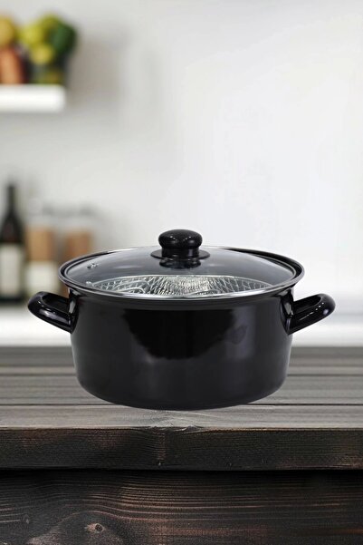 PR HOME Enameled Glass Covered Frying Pan 22 cm Black