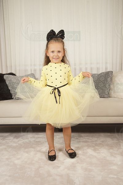 neocotton Rochie pentru fetiță cu mânecă lungă din tul cu inimă pentru ziua de naștere și ocazii speciale