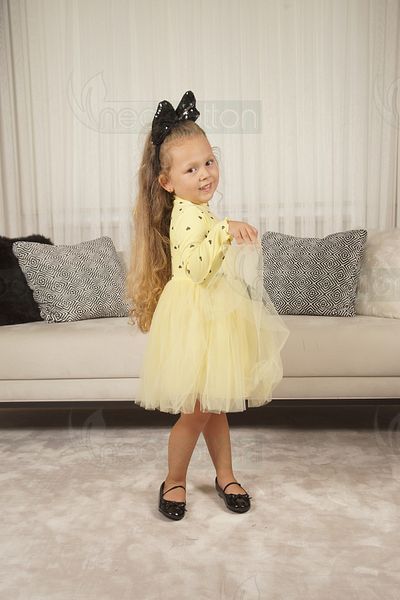 neocotton Rochie pentru fetiță cu mânecă lungă din tul cu inimă pentru ziua de naștere și ocazii speciale